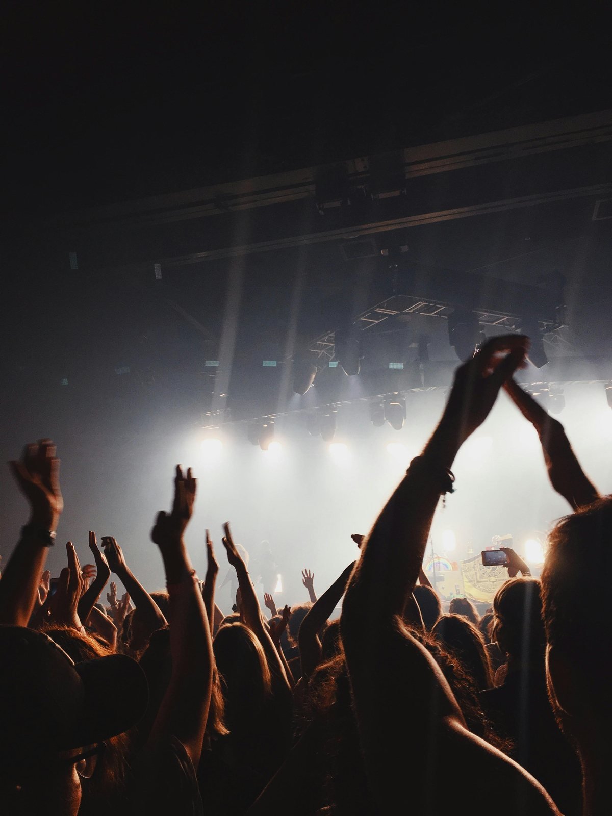 Silhouetted crowd with arms raised at a concert, backlit by stage lighting and haze.